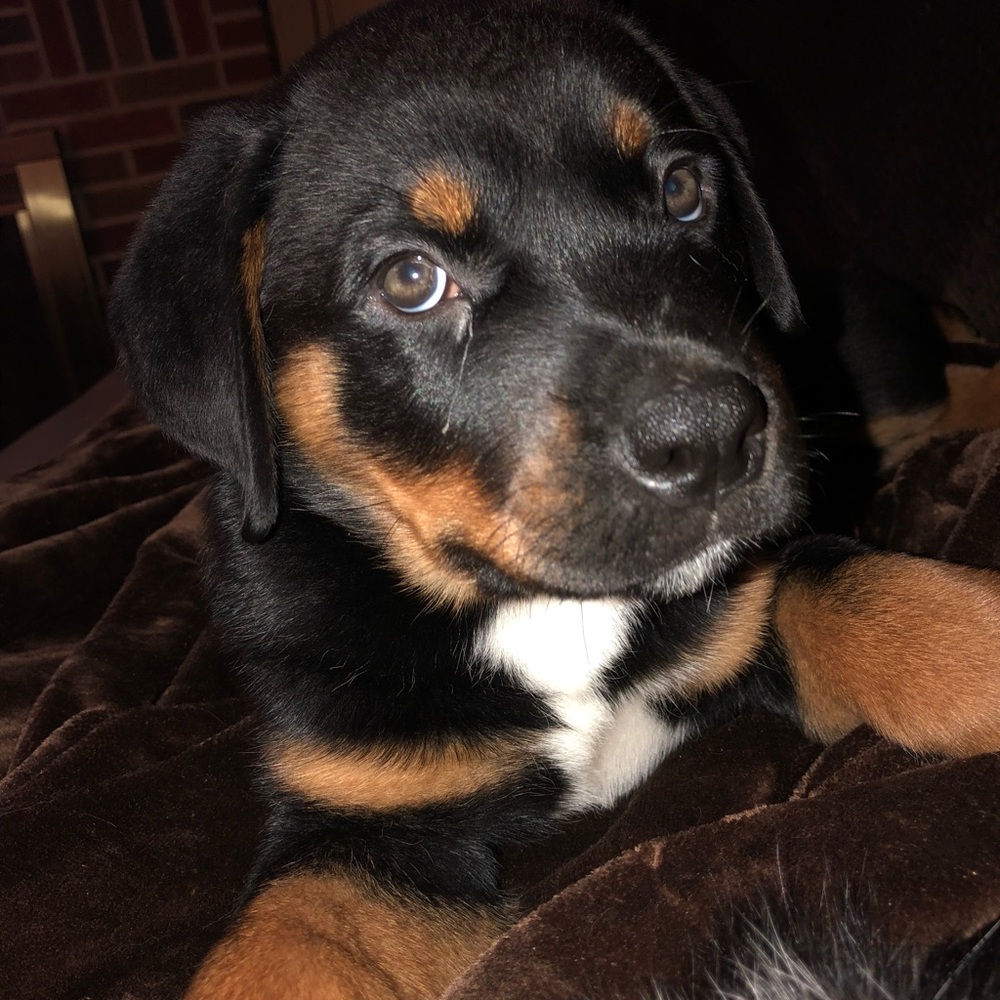 Hi my name is Max